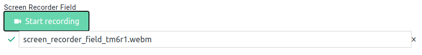 Preview of a screen recorder field after recording